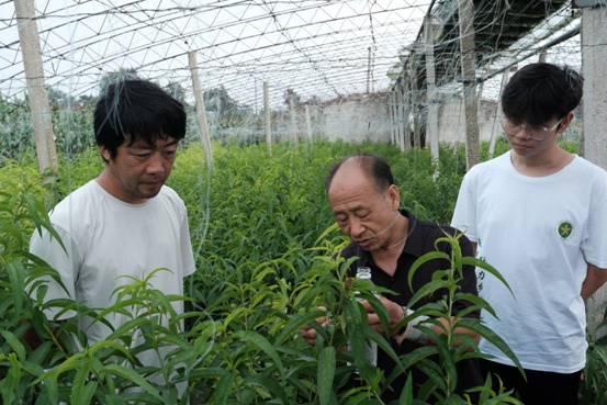 学院教师与种植户交流