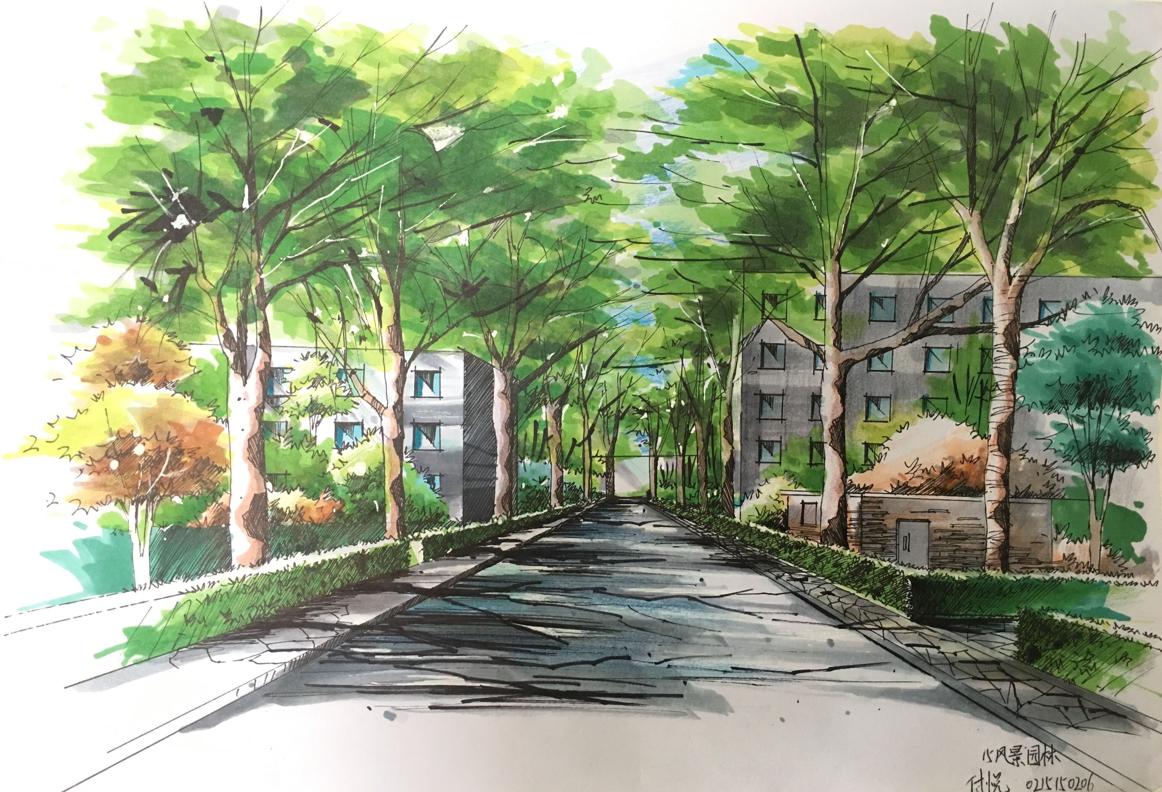 园艺学院举办 "我的科师梦"校园风景手绘大赛