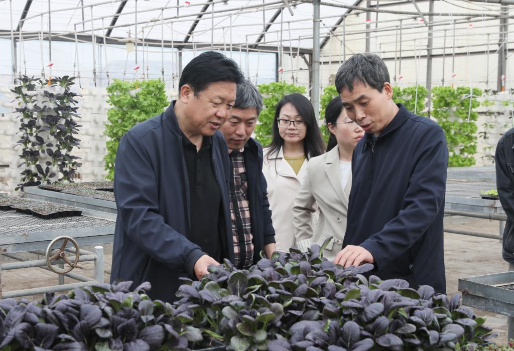 校党委副书记王松深入我院调研指导
